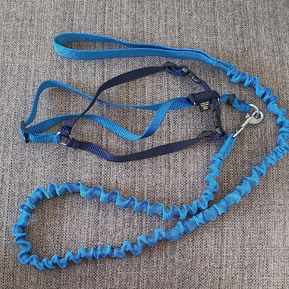 Cat Harness w/ Leash, Blue, Sz LG, Come With Me Kitty by PetSafe
